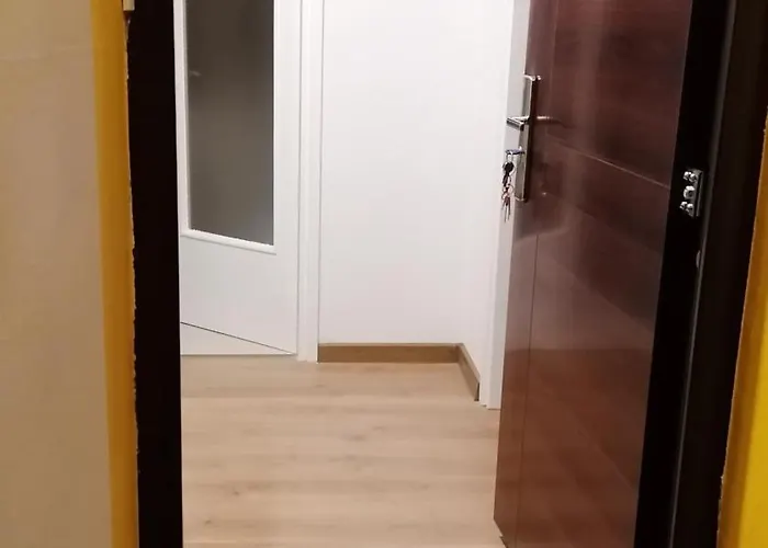 公寓 Mina 巴尼西卢卡