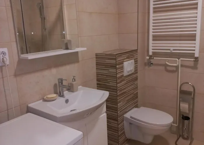 Mina * 巴尼西卢卡